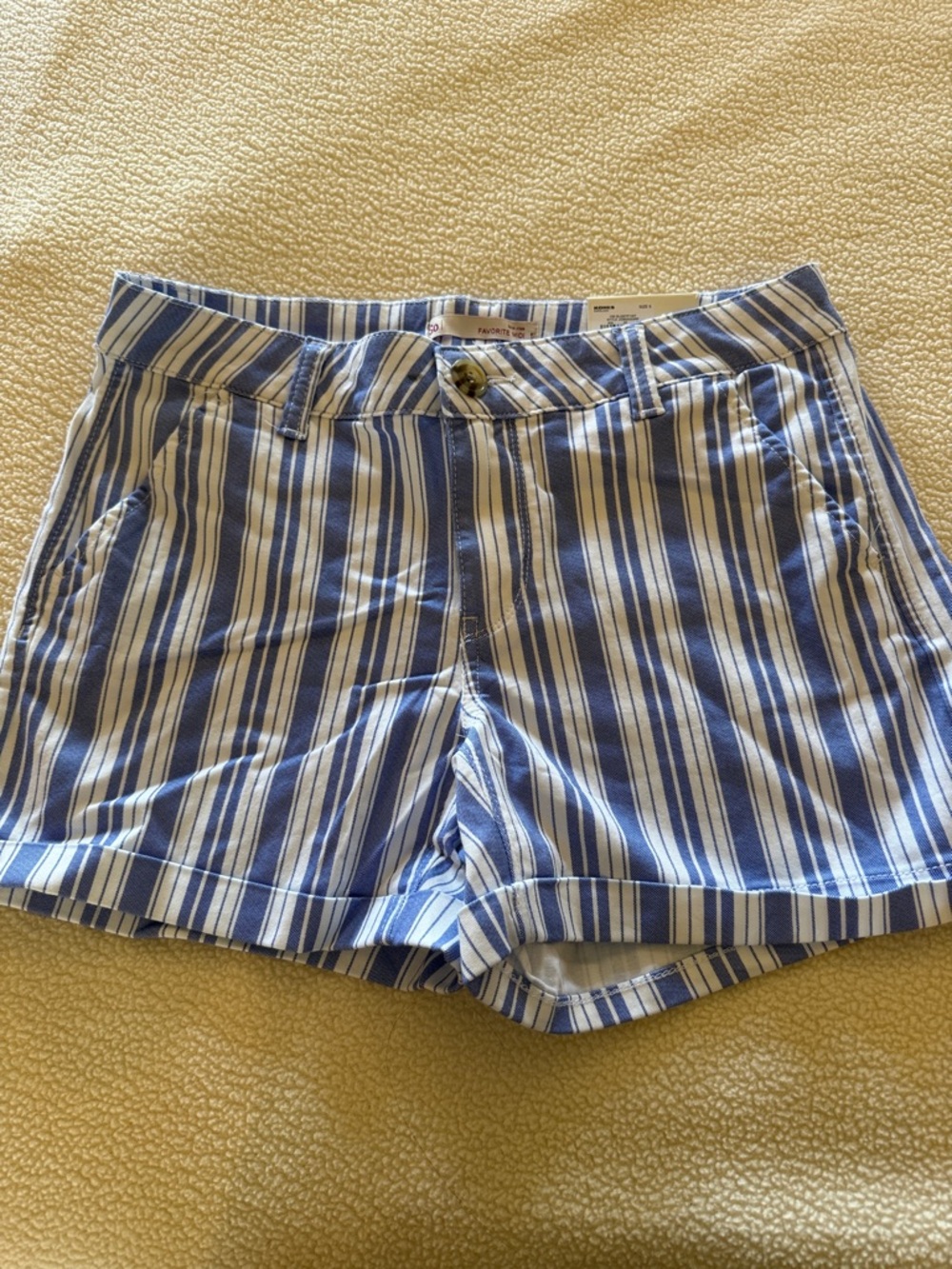 SO Blue and White Striped Women's Shorts